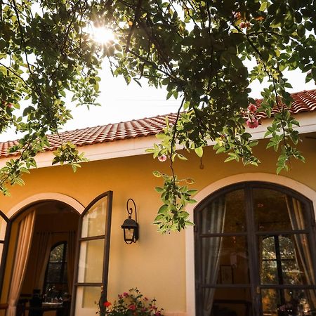 Bich Dao Boutique - Dalat Hotel Exterior photo