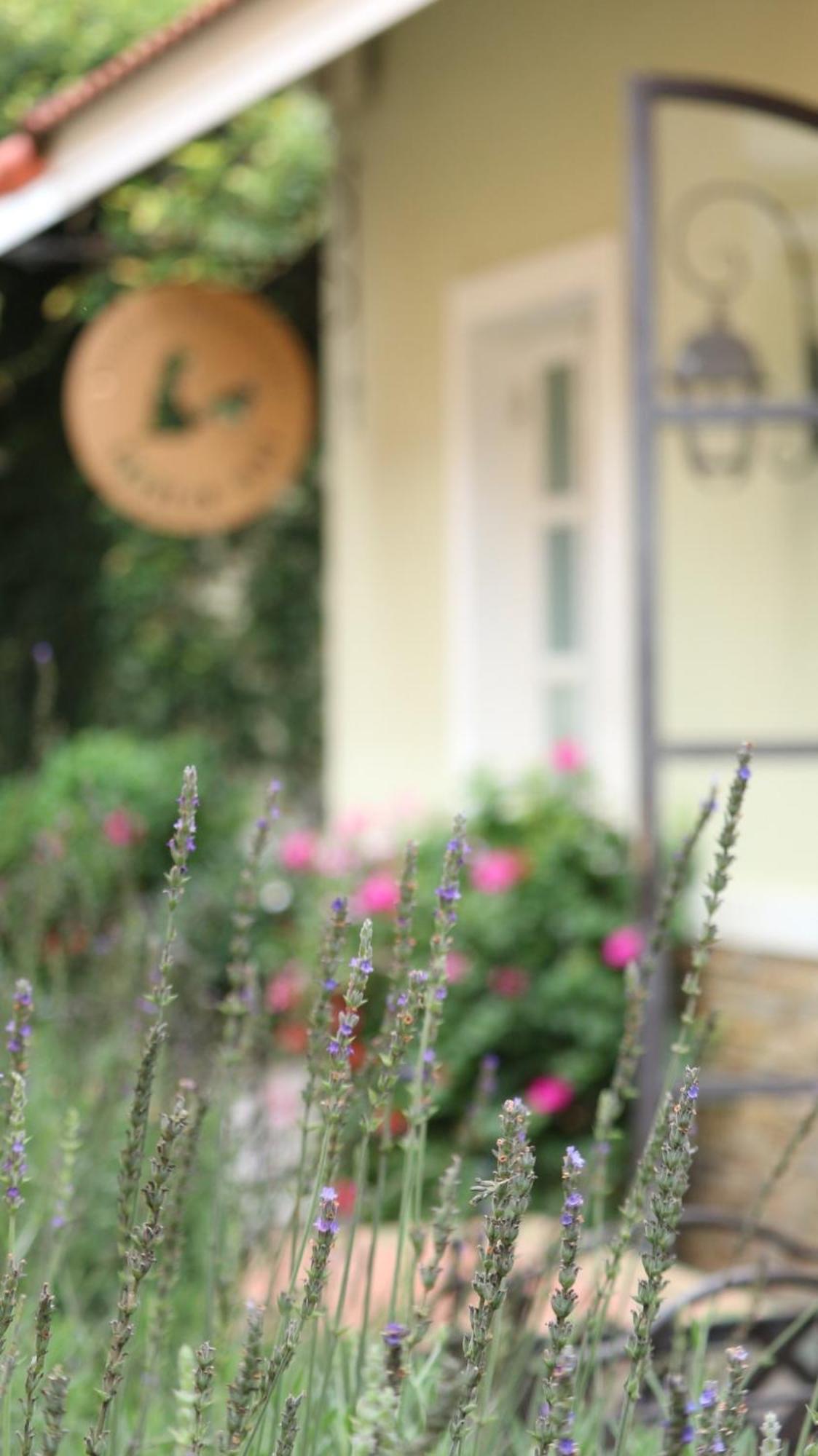 Bich Dao Boutique - Dalat Hotel Exterior photo